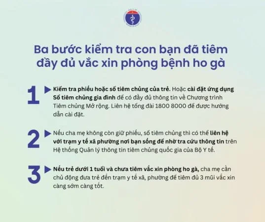 455912579 913729524128806 28925378197057918 n