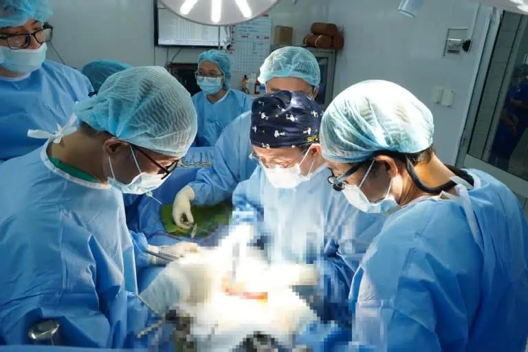 508463967_1238991041354405_9122961521492181631_n