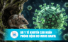 Hình ảnh chuột và virus Hanta cảnh báo phòng tránh bệnh tại Bệnh viện Thống Nhất.